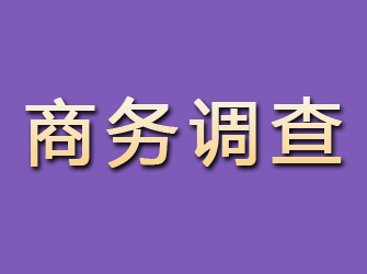 田东商务调查